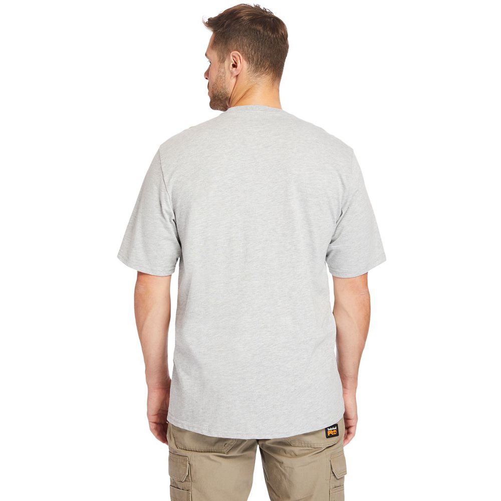 Tricouri Timberland Barbati Gri - Pro® Big & Tall Base Plate Short-Sleeve - Romania - VFDHKB743